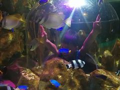 -暹罗海洋世界