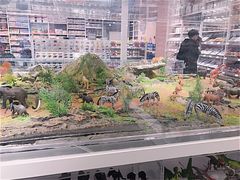 -KKV(常州新北万达广场店)