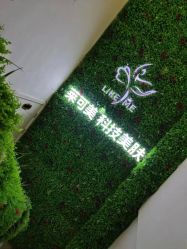 -莱可美科技美肤