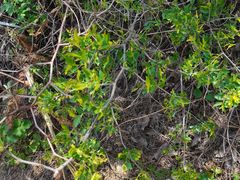 -大泽山风景名胜区