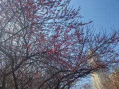 -汉口江滩-五福广场