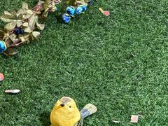 -刘正萍阿婆鱼头 湘小馆(云享城店)