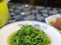 蒜蓉萝卜苗-印象徽州·正宗徽菜体验店