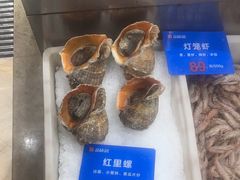 -品味居·首店·大连鲜活海鲜大连菜(东港店)