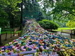 -上海共青森林公园