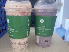 -茉酸奶(春熙路店)