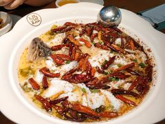 -首秀·四川料理(星耀101店)