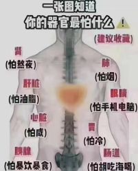 -香薇妮丝女子减肥院