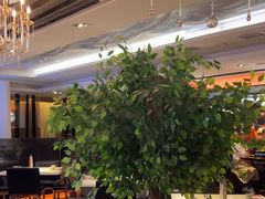 -小资太太(中央大街店)