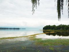 -西昌邛海湿地