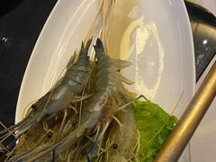 -阿杜打边炉(五江天街店)
