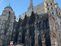 -斯蒂芬主教座堂(Stephansdom)
