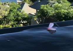 -KISS蜜摄影美学馆(香榭名苑店)