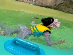 -杭州开元森泊度假乐园