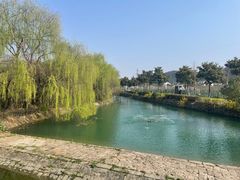 -树山生态村