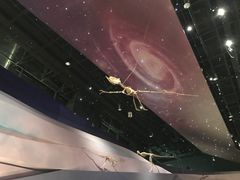 -武汉园博园(武汉自然博物馆)