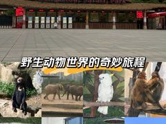 -杭州野生动物世界