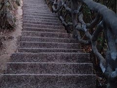 -梧桐山风景名胜区