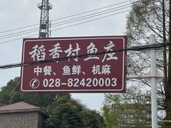 -稻香村鱼庄