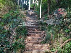 -青龙山国家森林公园