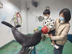 -嘉兴海底世界