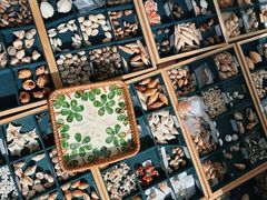 -浙江自然博物院(杭州馆)