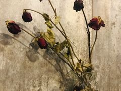 -0907餐厅(核桃园店)