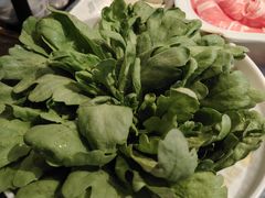 -百草滩羊清水涮羊肉·清真·宁夏盐池滩羊(莲花桥店)