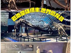 -世界恐龙谷景区