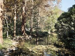 -九曜山