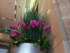 -广州粤海喜来登酒店