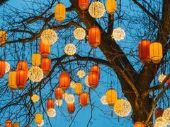 -西溪国家湿地公园