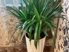 -玉林烤鸭店(黄村康庄店)