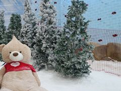 -广州热雪奇迹