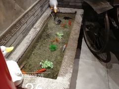 -京味斋·北京烤鸭(北京南站洋桥店)