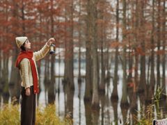 -白鹭湾湿地公园