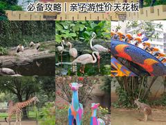 -广州动物园