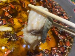 -雲蜀龙阁·金牌水煮鱼(方庄店)