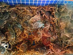 -回·龙虾铺·盆盆蟹·烧烤大排档(回龙观店)