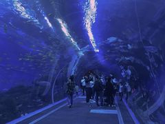 -成都浩海立方海洋公园