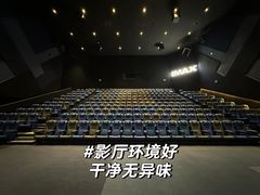 -英皇电影城(平安金融中心IMAX激光店)