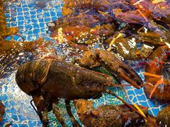 -驻海渔市(置信店)