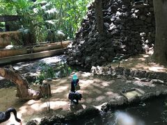 -卡塞拉自然公园