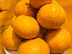 武当蜜桔-丹江渔村(望京店)