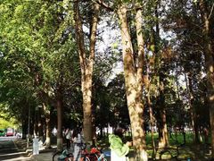 -四川大学(望江校区)