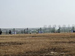 -盐城丹顶鹤湿地生态旅游区