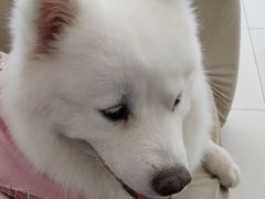 -怪兽屋·羊驼·猫咖·狗咖(俊华广场店)