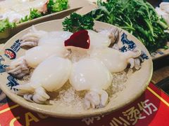 墨鱼仔-小龙坎老火锅