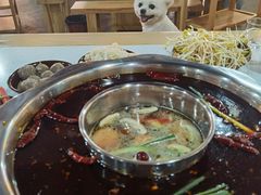 -正贰捌经重庆老火锅(建设路店)