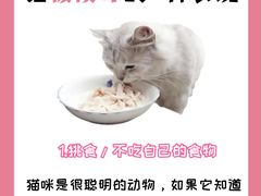 -纳吉亚猫专科动物诊疗中心(蒋宅口分院)